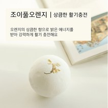 더바른유통 입욕제 거품 입욕제 185g 조이풀오렌지 버블 배쓰밤 거품 배쓰밤 천연 입욕제, 조이풀오렌지 185g 1개