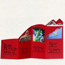 독도 생태계 강치 갈매기 동물 팝업북 책만들기 5인 DIY 집콕생활 그림책 셀프 미술시간
