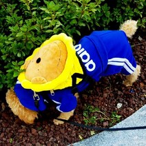 강아지가방 어흥이 강아지하네스 백팩 배낭 목줄 S M L, 컬러:하늘어흥이|사이즈:L