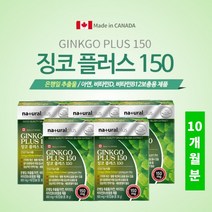 두뇌 머리 뇌혈관 확장 기억력 집중력 깜빡거림 뇌손상 브레인 개선 관리 에 좋은 은행잎 추출 징코 아연, 5BOX(10개월분)