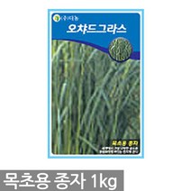 페레니얼라이그라스 잔디씨앗 1kg - 잔디씨 잔디 씨 씨앗 양잔디 한국잔디 들잔디 경기장 비행장 골프장 공원 목초용 풀씨, 01_다농_오차드그라스(1kg)