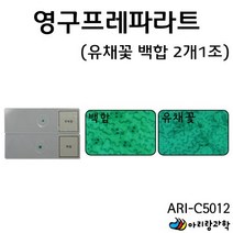 [아리랑과학] 영구프레파라트 - 유채꽃 백합 영구프레파라트 / ARI-C5012 (만들기용품), 상세페이지 참조