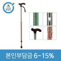 노인복지용구 요양인정번호필수 국내생산 T자형 외발지팡이 안전보행보조용품 LS-20F(LED지팡이), 경감대상자9, 블루