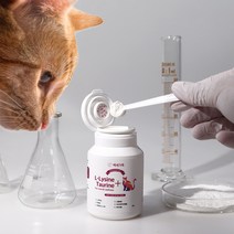 아기 고양이 영양제 엘라이신 허피스 천식 면역력 길 고양이 <intragen 증정>, 백세가족 L-lysine + Taurine 종합영양제” class=”wr-img”></a></div>
</div>
</div>
</div>
<div class=