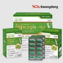 광동 써큐알파-엑스 4개월분 120정 은행잎 추출물 혈액순환개선 기억력개선 영양제, 1개