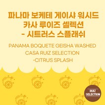 (커피생두) 44 파나마 보케테 게이샤 워시드 카사 루이즈 셀렉션 - 시트러스 스플래쉬 500g, 1개