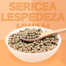 더건강한 샵 국내산 야관문환 비수리 야관문, 300g, 1팩