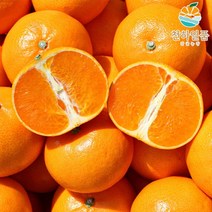 [우체국쇼핑] 천하일품 제주 천혜향 5kg 중소과(27-35과), 상세 설명 참조