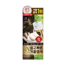 쉽고빠른거품염색5N갈색 40G
