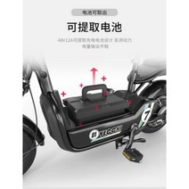 JSH 성인 전동차 전동 스쿠터 2인승 여성 조력 레저대보차 전기자전거, 화이트 주행거리50km 12A 납산배터리