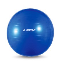 재활치료 스트레칭 자세교정 요가볼 짐볼 코어운동짐볼, 짐볼 55cm EB240-07