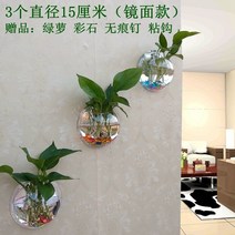 인테리어소품샵 촬영소품 조형물 아크릴 벽 수경 녹색 무 꽃 냄비 병 벽 매달려 물고기 탱크 벽 장식 레스토랑 거실 배경 벽 화분 197, 직경 15cm 미러 모델3