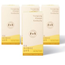 [3+1] 영롱 케이멜라인 콤부차 / 칼륨 브로멜라인 퀘르세틴 사과산 유기산복합체, 120g, 4개