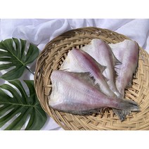 반건조생선 반건조참가자미 당일입찰 신선한, 500g, 1개