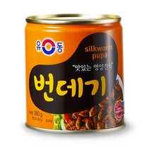 유동 번데기, 280g, 1개