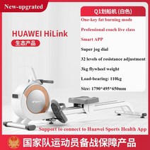 로잉 머신 피트니스 머슬 장비 q1 슈퍼 지방 연소 홈 에어로빅 운동 피트니스 자기 제어, 상아