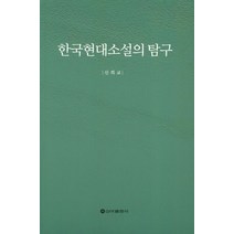 한국현대소설의 탐구, 신아출판사
