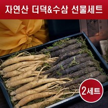 수삼 더덕 선물세트 국내산 강원도 인삼 생삼 산더덕 야생더덕 자연산 뿌리 껍질 산지직송 담금주 꿀절임 차 주스 무침 요리용 부모님 명절 설 추석 선물용, 2set