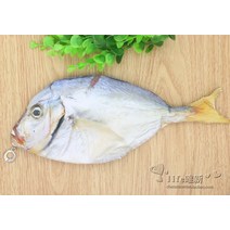 신기한필통 특이한 중학생 인형 필통 크리에이티브 피쉬백, 06 살찐생선