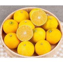 제주직송 고당도 프리미엄 황금향 가정용 선물용 2.5kg 3kg 5kg, (행사)황금향 5kg(랜덤과) 쥬스/생식용