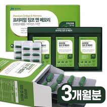 징코 앤 메모리 3개월분/6개월분 은행잎추출물 혈행개선제 정맥순환 다리혈액순환 기억력 두뇌영양제 기억력개선 혈액순환안될때 기억력에좋은 뇌건강 부모님건강식품 GINKGO 혈관청소, 징코 앤 메모리 3개월분