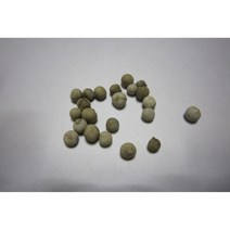 팽나무씨앗 50g(400립)