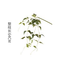 센터피스 오브제화환 시뮬레이션 교수형 바구니 교수형 식물 작은 딜 잎과 녹색 딜 임의의, 작은 무 잎