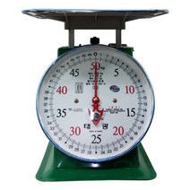태광 접시 지시 바늘 저울 2kg 5kg 10kg 20kg 30kg 50kg 수산시장 회센터 식품, 태광 5kg