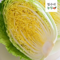 철수네농장 해남 알배추 쌈배추 6통 12통 알배기 배추, 알배추쌈배추