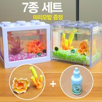 산호초 마리모 세트 7종 마리모밥 증정, 산호초01＋투명블럭[그레이] ＋ LED 전구＋5ml밥