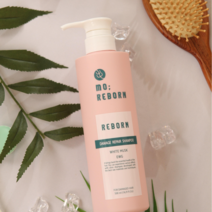 (정품라벨확인필수)EWG그린등급 온가족 단백질 샴푸 - The 모리본데미지리페어샴푸, 1개