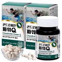 본트비 콘드로이친 MBP 유단백추출물 파워Q 상어연골 칼슘 2박스, 단품, 단품
