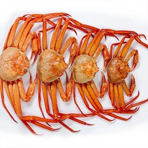 푸드랍 실속 B급 홍게7kg(20~25마리내외), 단품