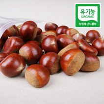 [전대표] 청양 친환경 2023년 햇밤 대2kg 대4kg / 유기농 인증