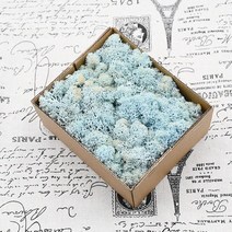 100g 인공 식물 영원한 생명 이끼 홈 가든 장식 야외 벽 마이크로 풍경 가짜 웨딩, 27 light blue 2