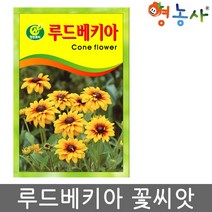 루드베키아 씨앗 약50립, 1개