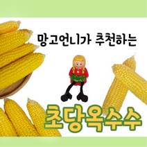 망고시스 초당옥수수 추천 프리미엄 특품 상품 17cm이상 15-17cm, 특품 17cm이상, 5개