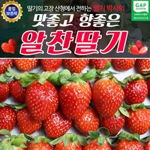 산청 알찬 딸기 상품 55과내외 1kg