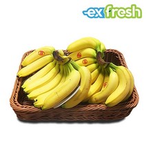 익스프레쉬 고당도 필리핀 바나나 1박스 13kg 내외 (8~9송이), 없음
