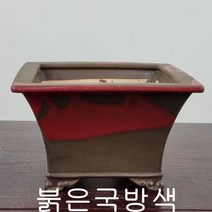 27. 손바닥정원 사각현애(대) 분재화분 승전분, 철류흘림