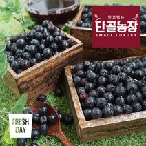프레시데이 (산지직송) 고창 아로니아 생과 (냉동) 5kg 줄기제거, 1