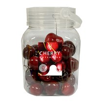 CHERRY 프리미엄 생체리 미국산/칠레산 체리 2j 3j [안전발송], 옵션2) 500g (용기)