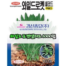 경신종묘 와일드로켓샐러드 1000립 파종용 루꼴라씨앗 당일발송