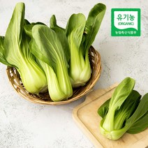 삼시세끼연구소 최상급 식재료 친환경 유기농 이유식 청경채 채소 200g