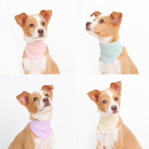 드몽드펫 강아지 케이프 스카프 반다나 턱받이 순면 악세사리 S, 그레이 S, 1개