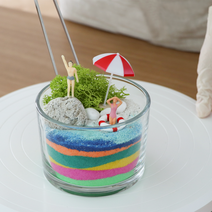 [테르테라] 리틀포레스트 해변 테라리움 DIY 키트