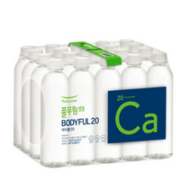 풀무원샘물 바디풀 20 생수, 500ml, 20개