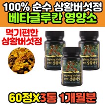 상화버섯 정 환 장수 펠리누스린테우스 베타클루칸 자연산 뽕나무 찔제 부모님 아버지 어머니 균사체