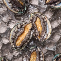 산지직송 진도전복 진도 활전복 산소 포장, 1kg (16-18미) 소