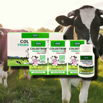 네이쳐스탑 콜로스트럼 프로바이오틱스 캔디 820ML X 90정 X 6병 초유 면역글로블린 면역글로불린